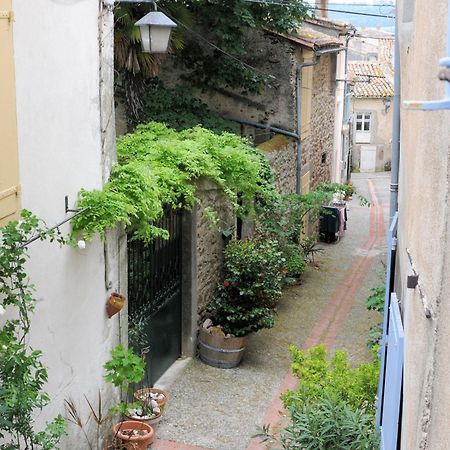 Maison Rives - Village Du Livre De Montolieu Dış mekan fotoğraf
