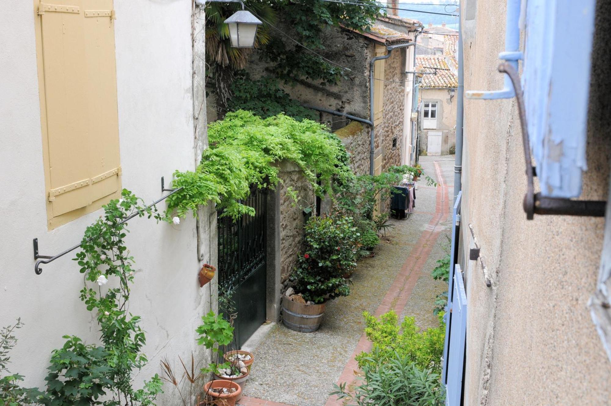 Maison Rives - Village Du Livre De Montolieu Dış mekan fotoğraf